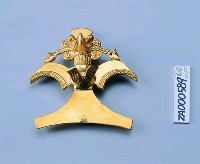 藏品(老鷹)的圖片